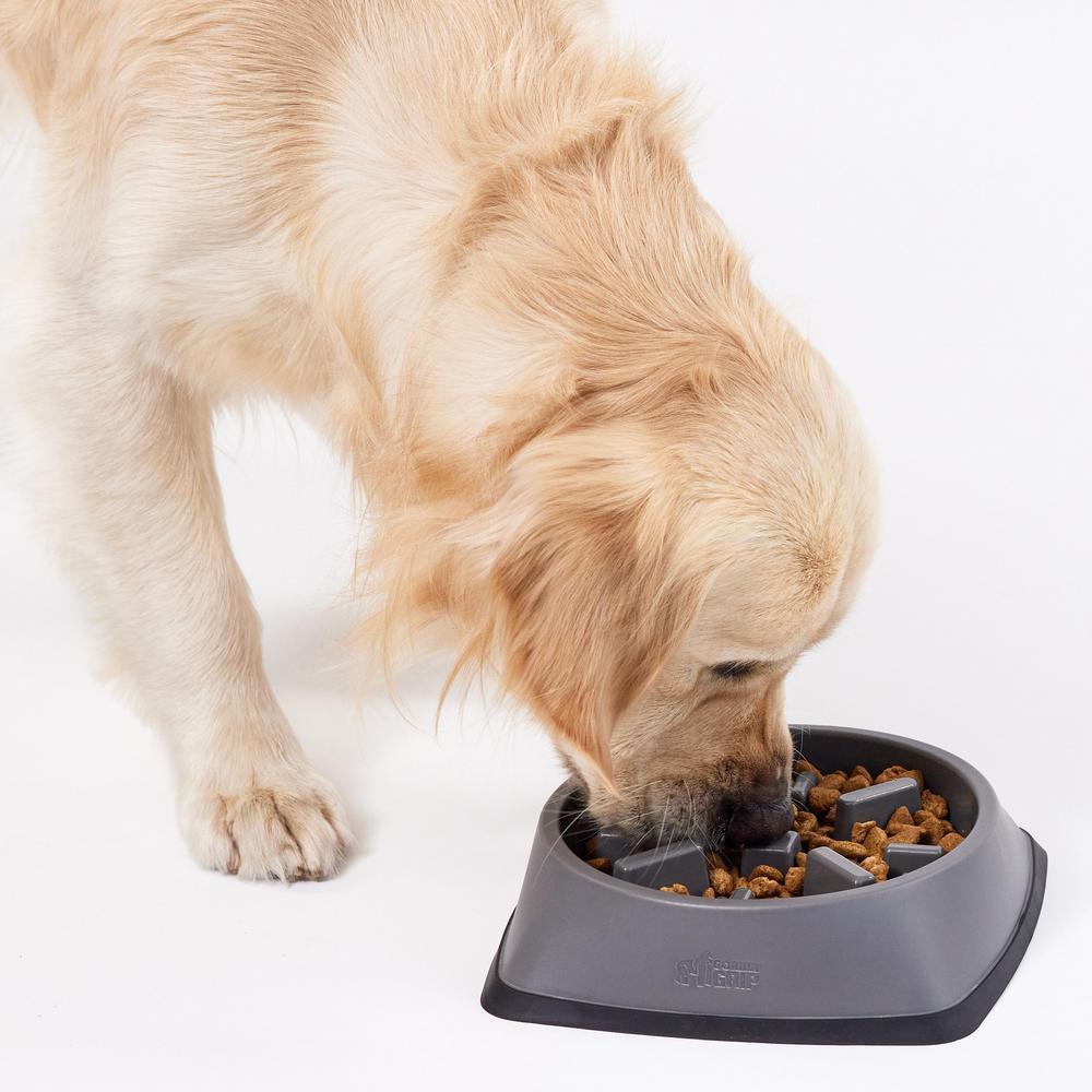 thumbnail video image 2 of GORILLA GRIP BPA Free Slow Feeder Dog Bowl, Interactive Puzzle Toy for Dogs and Cats, Food Training, Keeps Pets Busy and Prevents Puppy Overeating, 2 Cup Gray, 2 of 10